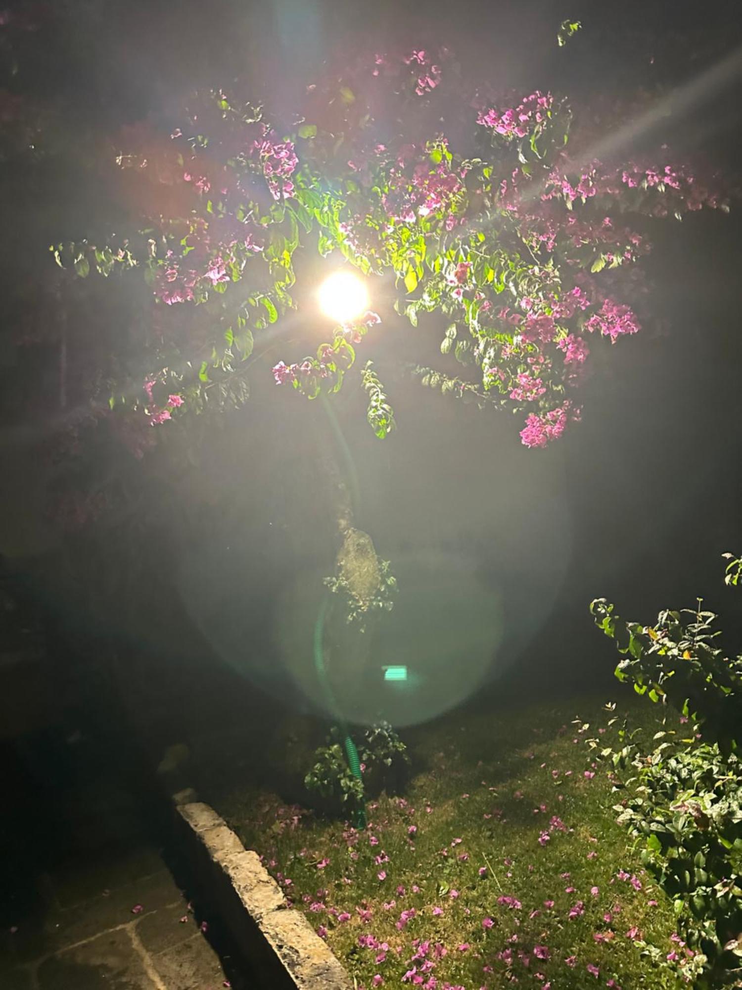 הוילה קפלס Solar Nossa Senhora Da Conceicao מראה חיצוני תמונה